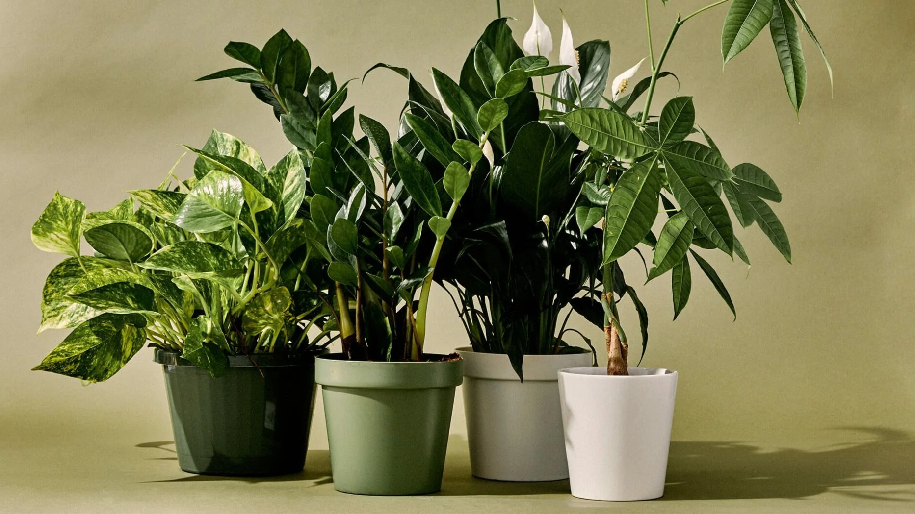 Main Banner Image 1